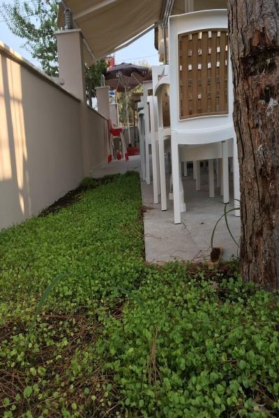 Vira Hotel Dalyan Kültér fotó